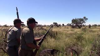 Kalahari Sable Hunt with Lew Harris Safaris