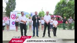 „ევროპულმა საქართველომ“ ლანჩხუთის და ოზურგეთის მუნიციპალიტეტებში მერობის კანდიდატები წარადგინა