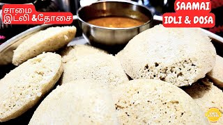 சாமை இட்லி,தோசை# Saamai Idly, Dosai#milletsrecipe#littlemillets#littlemilletsidly,dosai#healthy#food