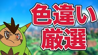 朝のポケモン色違い厳選！トドロクツキ【ポケモンSV】