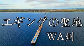 [エギング]約1.8kmの長さの桟橋でナイトエギング!!