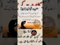 Hazrat Ali farmate Hain || Jo Apne Naseeb per