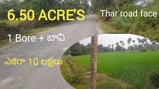 Land for sale 6.50 acres//Kaluvoya mandalm//Nellore district//9676114449