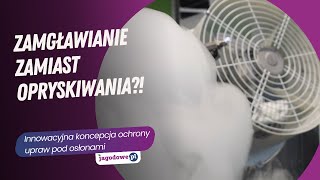 Zamgławianie zamiast opryskiwania? Innowacyjna koncepcja ochrony upraw pod osłonami