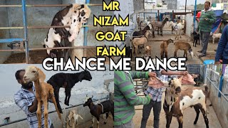 Mr Nizam Goat Farm Hyderabad | Multiple breeds of goat's available in Hyderabad | baby 🐐 \u0026 sheep's