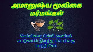 செய்வினை பில்லி சூனியக் கட்டுகளில் இருந்து மீள மிளகு மாந்திரீகம் | அமானுஷ்ய மூலிகை #பரிகாரம்