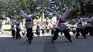 よさこいソーラン龍　大阪メチャハピー祭2015 京橋駅前 広角Ver