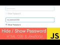 Toggle Password Visibility Using JavaScript | Hide/Show Password
