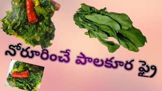 నోరూరించే పాలకూర ఫ్రై spinach fry with garlic tasty and easy#viral #dailycookingvlog#cooking#pickle