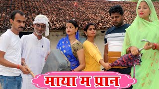 माया म प्रान - maya ma pran / तीन पांच की प्रस्तुति / teen panch / 3 5 bagheli comedy video