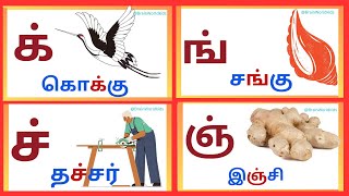 மெய்யெழுத்துக்கள் Learn Mei Ezhuthukkal with pictures @BrainWorldkids