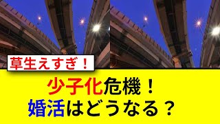 695年後の結婚！未来の家族はどうなる？