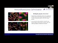 sam benton ankyrons™ next generation target binding reagents beyond antibodies