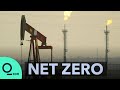 How Oil Companies Can Help Cut Demand | Net Zero