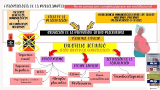 Fisiopatología de la Preeclampsia actualizado