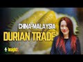 Durian diplomacy: A new chapter in China-Malaysia cooperation | InsightX