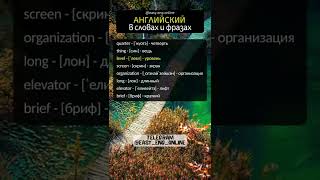 🎧🇬🇧 АНГЛИЙСКИЙ УЧИМ 👆 Слова на английском, которые должен знать каждый