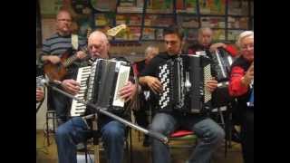 Novelty Accordeon