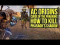 Assassin's Creed Origins DLC HOW TO KILL Pharaoh's Shadow (AC Origins Curse of the Pharaohs)