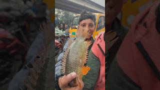 ০৪ হাজার টাকা বিলের কৈ মাছ ঢাকা কাওরান বাজার #Shorts #Reels #FishVideo🐟🐟