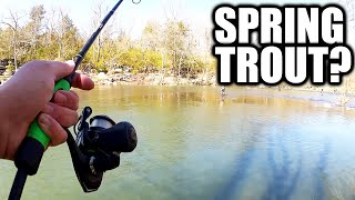 Spring Fishing for Stocked Trout - Are All of the Rainbow Trout Gone?