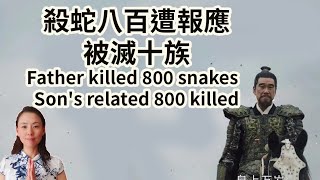 殺蛇八百遭報應，被滅十族！發人深省！Father killed 800 Snakes.  Son's Related 800 Killed.