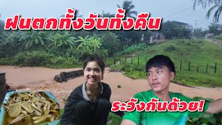 ฝนตกหนัก ทั้งวันทั้งคืน ใครที่อยู่ติดแม่น้ำ โปรดระวังด้วยนะครับ ของกินฤดูหน้าฝน ￼