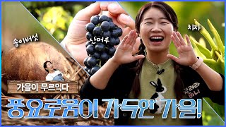 풍요롭다. 무르익은 가을맛 | 두근두근 경남 (KBS 2023.10.24, 화 방송)