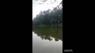 Caminhada nesse parque é muito maravilhoso