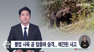 불법 사육 곰 탈출해 습격.. 예견된 사고 20221209