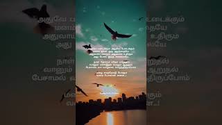 Idhuvum Kadandhu Pogum Song Lyrics | Magical Frames | WhatsApp Status Tamil | Tamil Lyrics Song |
