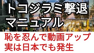 【パタヤ】トコジラミとの1年間の戦いに勝利！