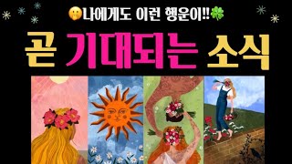 [타로]😆🍀새해에 생길 좋은일! 복 많이 받아가세요❤️🧧🌈😄