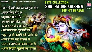 Best collection Shri Radhe krishna top hit Bhajan~श्री राधे कृष्णा भजन~bhajans~shri krishna bhajan