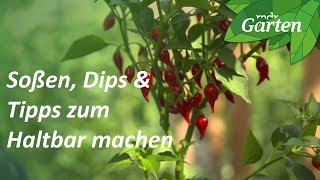 Chilis anbauen und in der Küche verwenden | MDR Garten