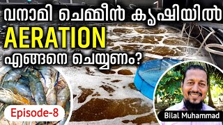 How To Do AERATION In Vanami Shrimp Farming | വനാമി ചെമ്മീൻ കൃഷിയിൽ AERATION എങ്ങനെ ചെയ്യണം?