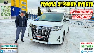 TOYOTA ALPHARD HYBRID (8 мест). Смотрим что купили и привезли.