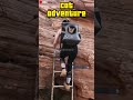 kucing lucu adventure🤣🤣😹@Petplanet8 #petplanet8 #short #shortvideo #kucinglucu