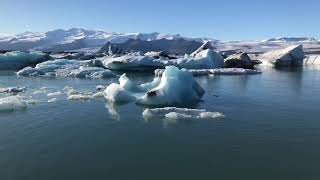 iceland Jokulsarlon 冰島 傑古沙龍冰河湖   野生海豹