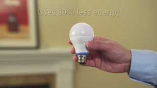 GE reveal® LED A19 Light Bulbs | GE Lighting