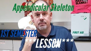 Appendicular SKELETON: Lesson, First Semester