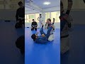 존프랭클 사범님 트라이앵글탈출 암바탈출 존프랭클 bjj 주짓수 상암주짓수 주짓수기술 격투창고