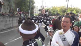 平成27年　八田荘地区　蜂田神社祭礼　本宮　宮出　だんじり