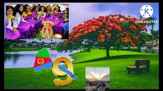 Best Eritrean Music Tekle Kflemariam wedi Tukul chiru bereka. ጭሩ በረኻ ቅርቅረ ብተክለ ክ/ያም ወዲ ትኹል. #shorts