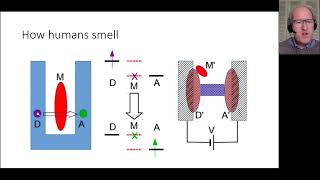 LCN Joint Seminar Series - Quantum Biology