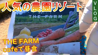 人気のTHE農園リゾート THE FARM cafeで昼食！