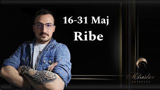 Ribe 16-31 Maj