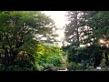 大滝神社　湧水周辺　山梨県北杜市