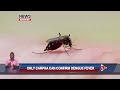 8 Dengue Deaths, 712 Cases