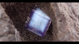 Finding Fluorescent Fluorite in Limestone Quarry